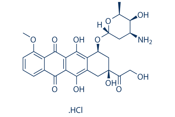 new-thum-1